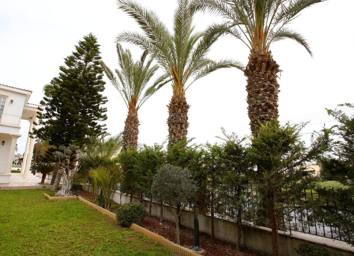 The White House Villa Larnaca Dış mekan fotoğraf